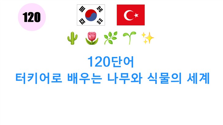120단어: 터키어로 배우는 나무와 식물의 세계